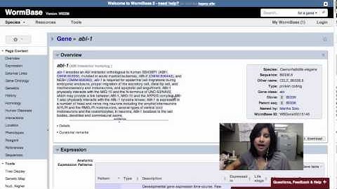 Intro to WormBase: Navigation