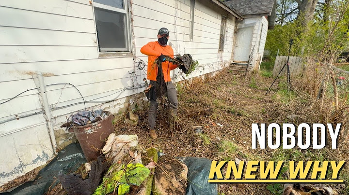 Neighborhood saw the mess - but NO ONE knew the FULL story of why