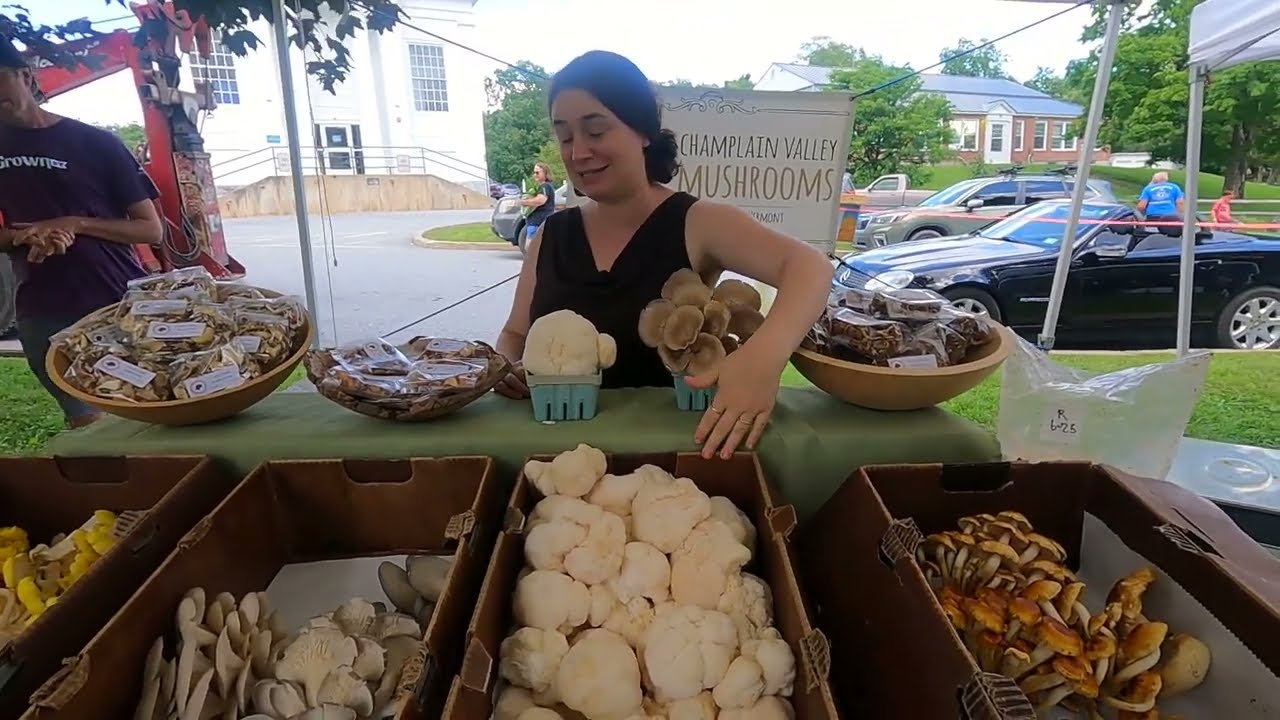 Orwell Food & Farm Fest - Meet local maker Heather of Champlain Valley Mushrooms