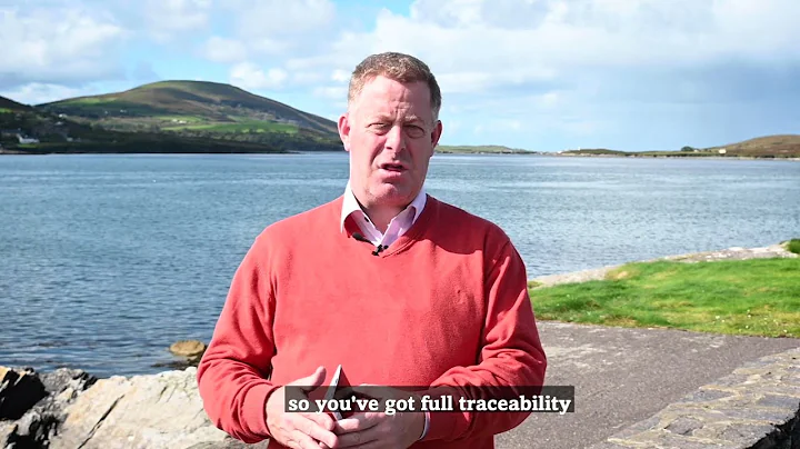 The traceability of our Wild Irish Salmon