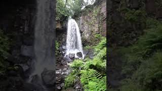 Melincourt waterfalls 2019 06 13 #1