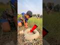 Survival Skills: SMART idea and USEFUL#bushcraft#camping#outdoors #survival