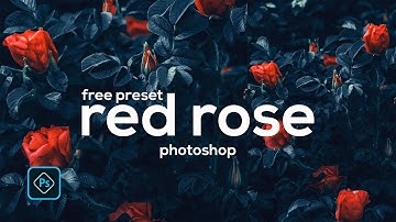 Photoshop cc tutorial: Dark Green Color Grade in Camera Raw (RED ROSE)