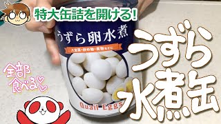 【業務用缶詰】おおきなうずらの水煮缶　開けて全部食べる！