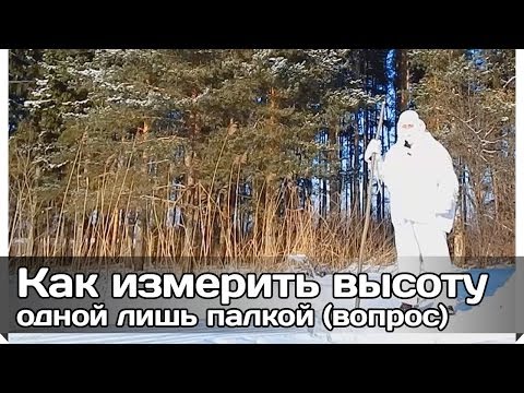 [РВ] Как измерить высоту объекта одной лишь палкой? (вопрос №7)