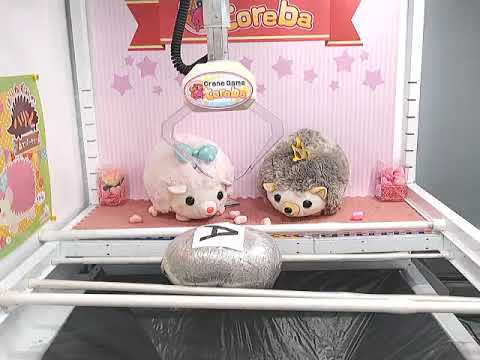 harin the hedgehog