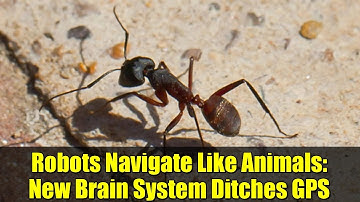 Robots Navigate Like Animals: New Brain System Ditches GPS