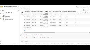 Tutorial 4 - Categorical to Numerical
