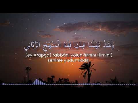 Ey Dilim/Ya Lugati - Muhammed Al Muqit| يا لغتي - محمد المقيط (Tercümeli İlahi/Neşid)