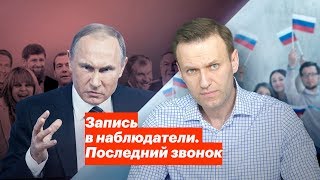 Запись в наблюдатели. Последний звонок