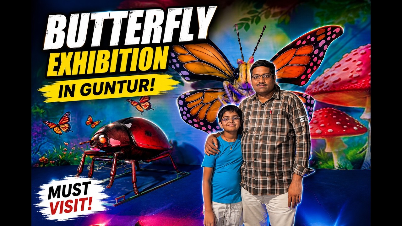 🦋 Butterfly Exhibition in Guntur | Must Visit Family Attraction! 😍