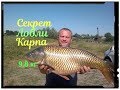 СЕКРЕТ  ловли КАРПА .ЖМЫХ(макуха)