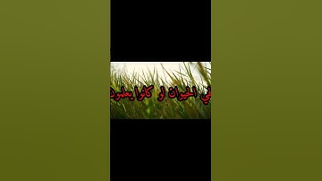 قرآن كريم راحة نفسية-قرآن بصوت جميل يريح القلب -قرآن راحة نفسية #قران_كريم-للنوم @eslameat-e