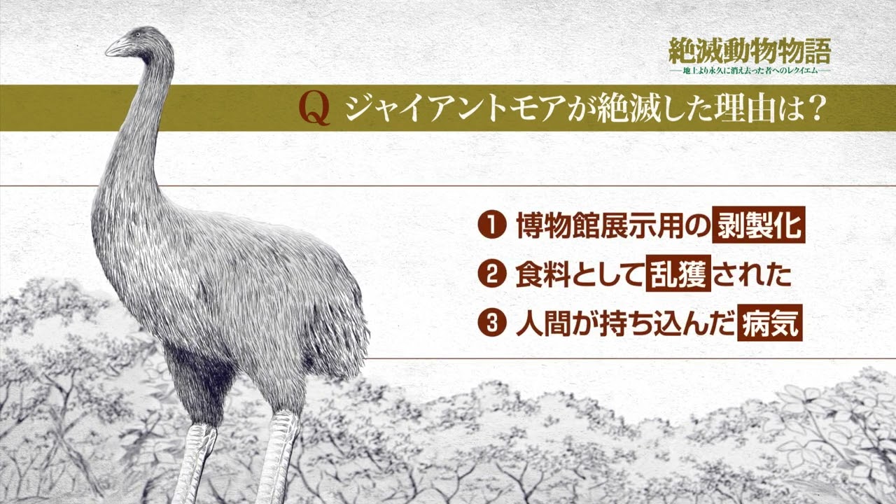 もうひとつのどうぶつえん ~絶滅動物ものがたり~ マンモスたちの時代 篇 [DVD] 2mvetro