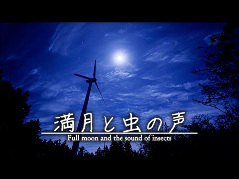 【安眠用BGM】満月と虫の音