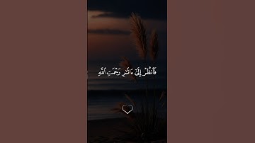 فَانظُرْ إِلَىٰ آثَارِ رَحْمَتِ اللَّهِ || سورة الروم #محمد_صديق_المنشاوي 🤍🌱