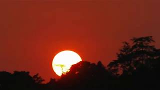 Matahari ( Sun ) || Lagu Anak Pintar