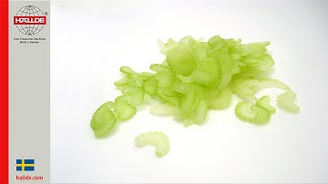 Celery slicer 1,5 mm