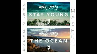 【Mike Perry】The Ocean \u0026 Stay Young    Mashup/Lossless sound quality/無損音質