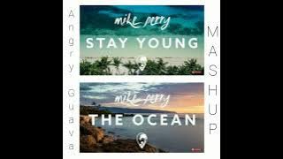 【Mike Perry】The Ocean & Stay Young    Mashup/Lossless sound quality/無損音質