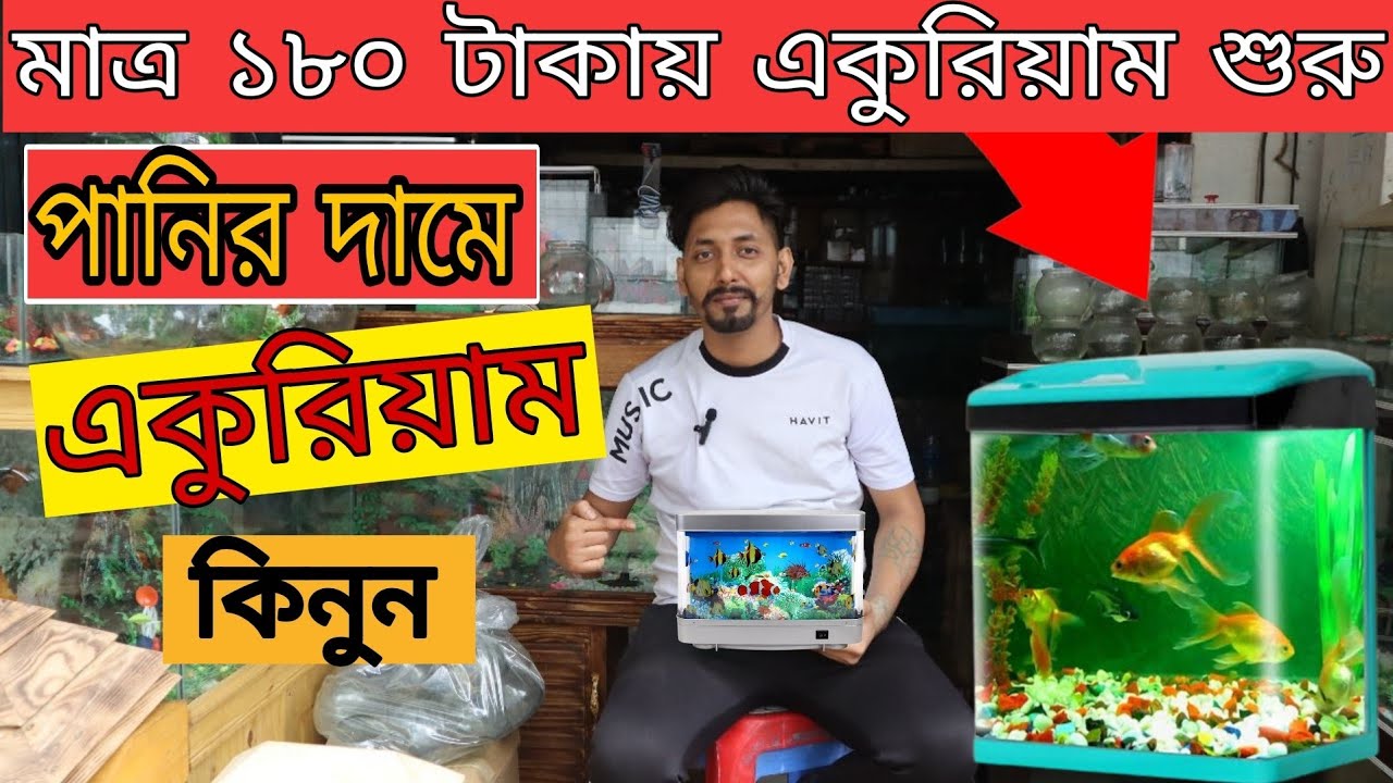 Aquarium Fish Price In Bangladesh 2023 Aquarium Price In Bangladesh