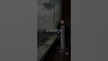 سورة القلم  سالم الرويلي