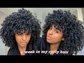 Curly hair et refresh routine  1 semaine avec mes cheveux boucls