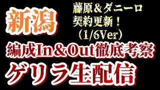 【ゲリラ生配信】藤原奏哉、ダニーロ更新！1/6付アルビin&out考察！【アルビレックス新潟/albirex】