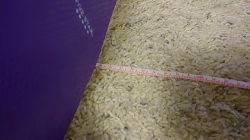 EGR 102 Coding Demonstration