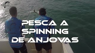 Pesca a spinning de Anjovas en supeficie