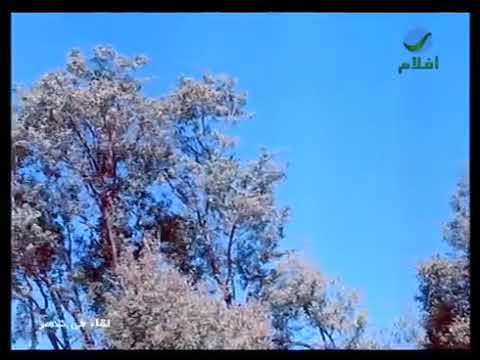 رائعة الفنانة السورية يسرى البدوية عشقنا غريب