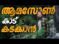      jungle 2017 movie explained in malayalam