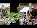 Trending in China: 3-year-old ‘excavator’ operator