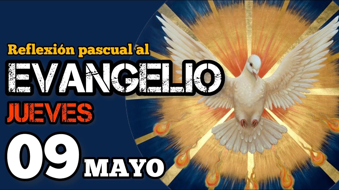 Evangelio de Hoy jueves 9 de mayo 2024 | ♥️ Padre Felipe Brito | Jn 16 ...