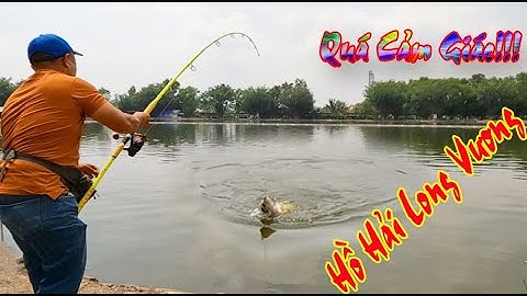 Hồ Câu Cá Hải Long Vương Đầy Cảm Giác Và Thú Vị