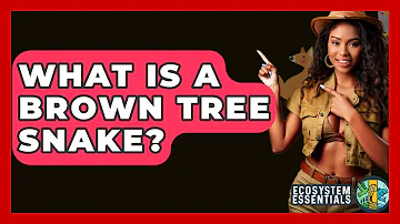 What Is A Brown Tree Snake? - Ecosystem Essentials