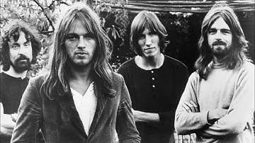 Neuroscientists recreate Pink Floyd song from recorded brain waves