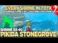 Every Shrine in Pikida Stonegrove - Tears of the Kingdom Shrine Hunters 05