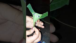 making Beautiful insect craft with peepal leaf #trending #art #shorts #craft