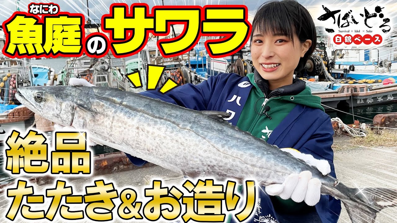 【超激レア】サワラの刺身！新鮮だからの超贅沢！初体験のお造りに、炭火で炙った極上タタキはまる⭕️に合う！大阪湾は可能性が無限大！【さばいどる】【漁港巡り大阪岸和田港編】