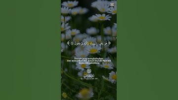 #سورة_يونس #عبدالرحمن_مسعد #المصحف #قرآن #اكسبلور #قران_كريم #راحة_نفسية