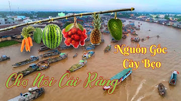 DU LỊCH CHỢ NỔI CÁI RĂNG Ở CẦN THƠ | DU LỊCH SÔNG NƯỚC MIỆT VƯỜN