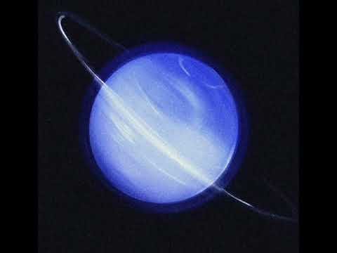 FUNK DO NEPTUNE