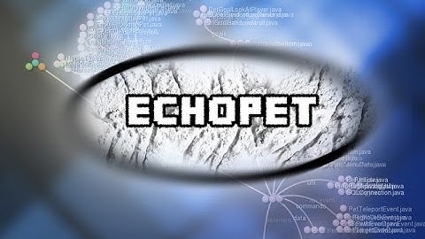 EchoPet - Gource - Source Code Visualisation
