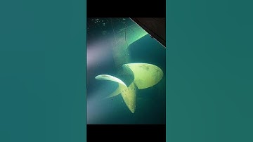 If These Images Scare You, You Might Have Thalassophobia... #shorts #phobias