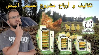 أرباح و تكاليف مشروع تفقيس البيض 🐣أسعار بيع الكتاكيت🐣 جولة صباحية في أطراف المزرعة 🌱🍎☘️🍈 (93)