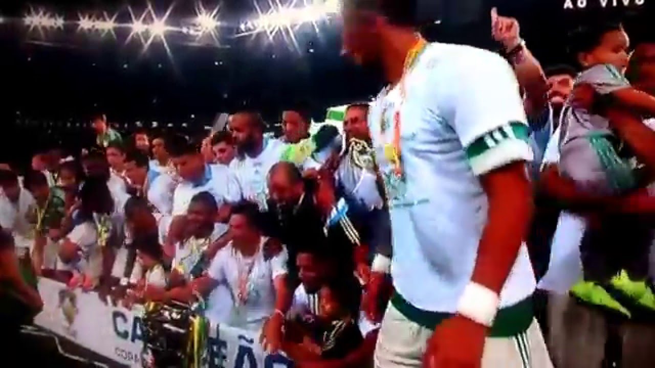 Palmeiras tricampeão da copa do Brasil - YouTube