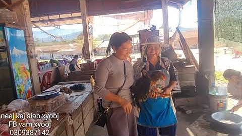 mus yuav qaib los hu plig peb caug rau me nyuam