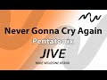 Jive40 - Never Gonna Cry Again (Mike Woizone rmx)