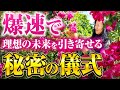 【新月×一粒万倍日】変わりたいのに、最初の一歩が踏み出せない方、理想すぎる未来を爆速で引き寄せる秘密儀式(第2219回)